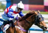 Sensational Report winning the Carpet Call Handicap at Caulfield ridden by Sally Wynne and trained by Dianne Wynne - (photo by Steven Dowden/Race Horse Photos Australia)