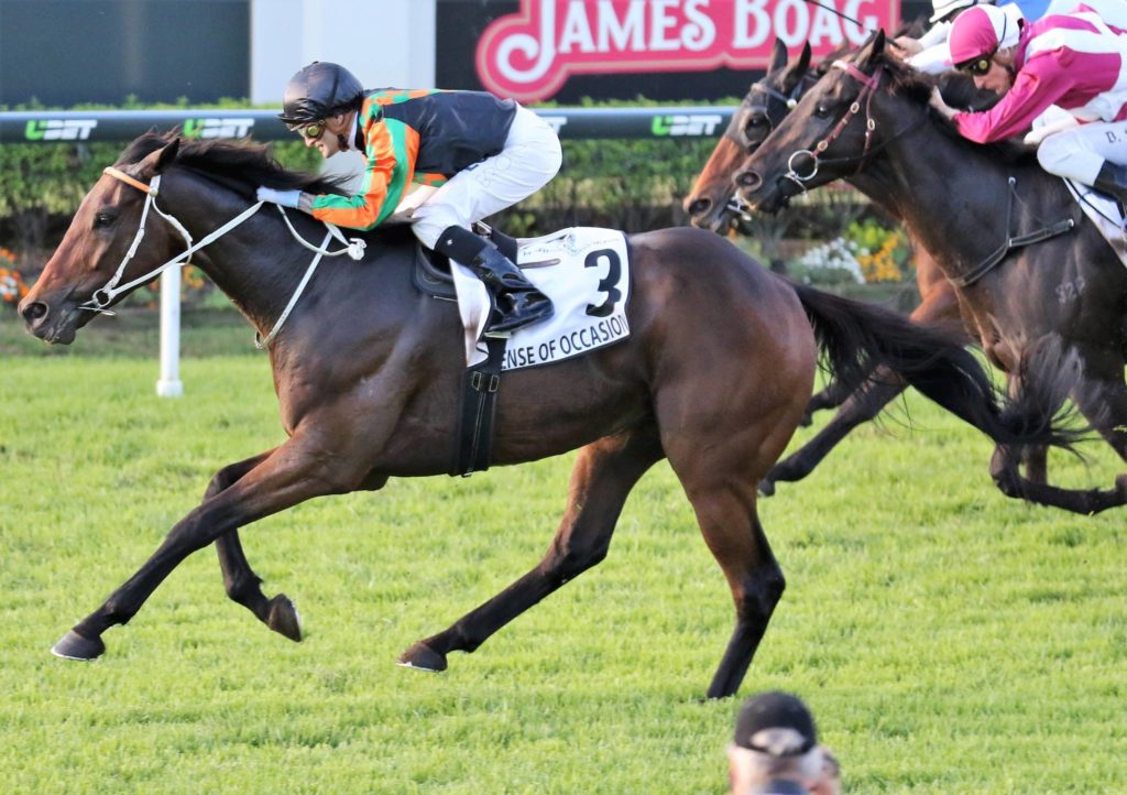Sense of Occassion2 | Just Horse Racing