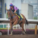 Sha Tin Trackwork, Buffering_11-12-14_0050 | Just Horse Racing