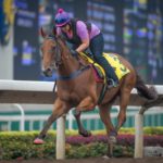 Sha Tin Trackwork, Buffering_11-12-14_0051 | Just Horse Racing