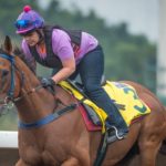 Sha Tin Trackwork, Buffering_11-12-14_0053 | Just Horse Racing