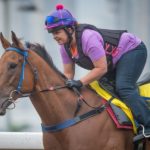 Sha Tin Trackwork, Buffering_11-12-14_0054 | Just Horse Racing