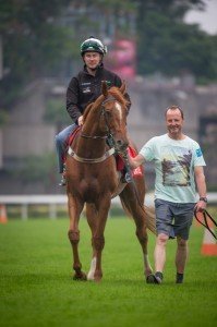 Sha Tin Trackwork, Criterion_10-12-14_0008