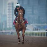 Sha Tin Trackwork, Criterion_11-12-14_0044 | Just Horse Racing