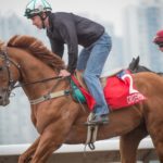 Sha Tin Trackwork, Criterion_11-12-14_0046 | Just Horse Racing