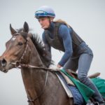 Sha Tin Trackwork, Flintshire_11-12-14_0063 | Just Horse Racing