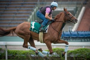 Red Cadeaux