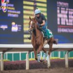 Sha Tin Trackwork, Red Cadeaux_11-12-14_0057 | Just Horse Racing