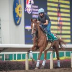 Sha Tin Trackwork, Red Cadeaux_11-12-14_0059 | Just Horse Racing