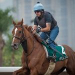 Sha Tin Trackwork, Red Cadeaux_11-12-14_0060 | Just Horse Racing
