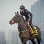 Sha Tin Trackwork, Sole Power_11-12-14_0036 | Just Horse Racing