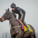 Sha Tin Trackwork, Sole Power_11-12-14_0037 | Just Horse Racing