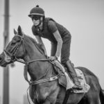 Sha Tin Trackwork, Sole Power_11-12-14_0038 | Just Horse Racing