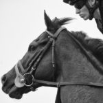 Sha Tin Trackwork, Sole Power_11-12-14_0040 | Just Horse Racing
