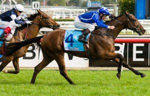Caulfield Raceday
