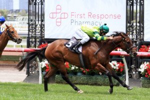 Shakespearean Lass | Just Horse Racing Shakespearean Lass