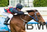 Shamal Wind winning the Le Pine Funerals Handicap at Caulfield - photo by Race Horse Photos Australia