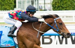 Caulfield Raceday | Just Horse Racing Shamal Wind winning the Le Pine Funerals Handicap at Caulfield - photo by Race Horse Photos Australia