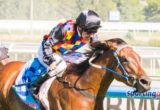 Shamal Wind winning the WJ Adams Stakes at Caulfield ridden by Ryan Maloney and trained by Robert Smerdon - (photo by Steven Dowden/Race Horse Photos Australia)