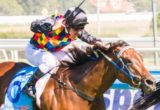 Shamal Wind winning the WJ Adams Stakes at Caulfield ridden by Ryan Maloney and trained by Robert Smerdon - (photo by Steven Dowden/Race Horse Photos Australia)