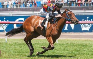 Flemington Raceday | Just Horse Racing