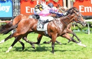 Flemington Raceday
