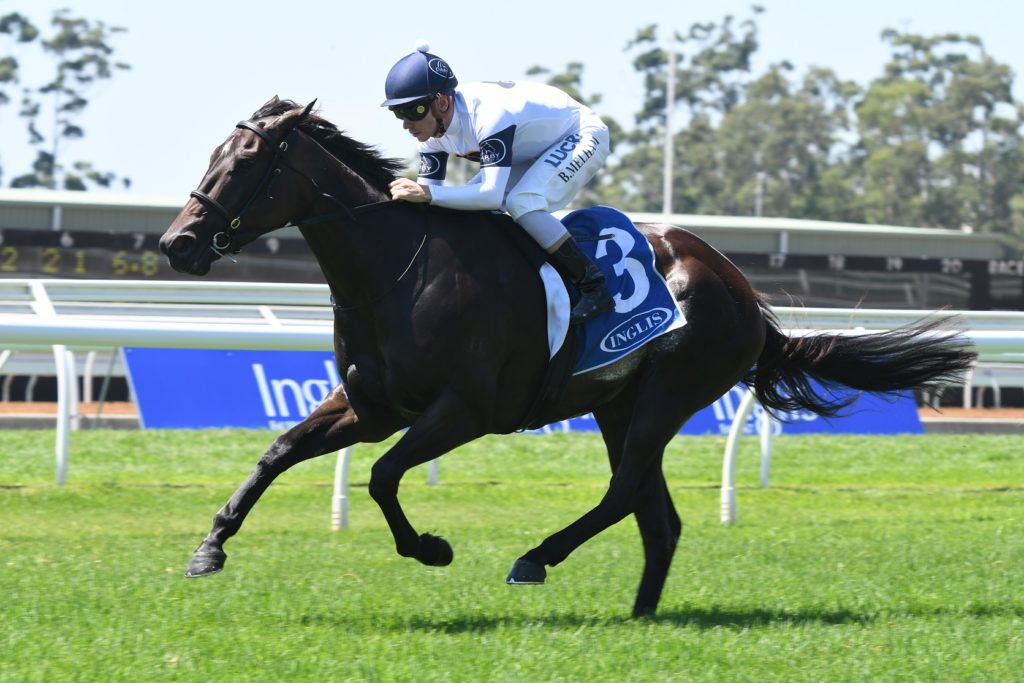William Reid Stakes What you need to know
