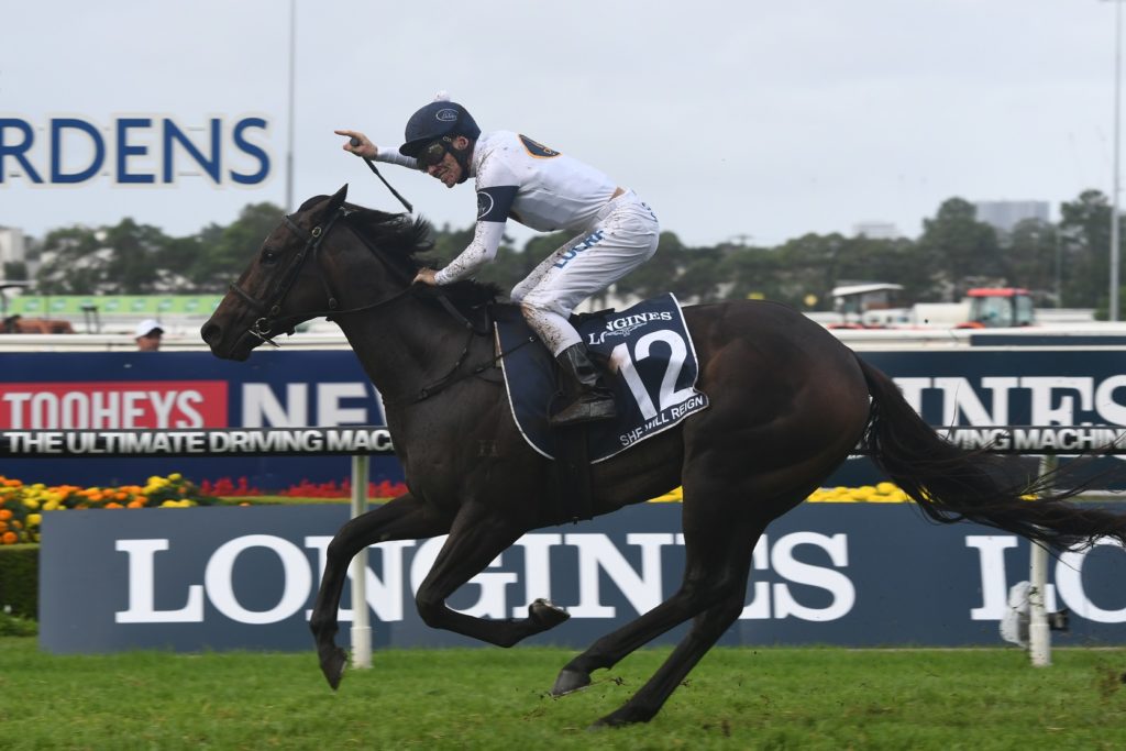 She Will Reign 180317 3768 | Just Horse Racing