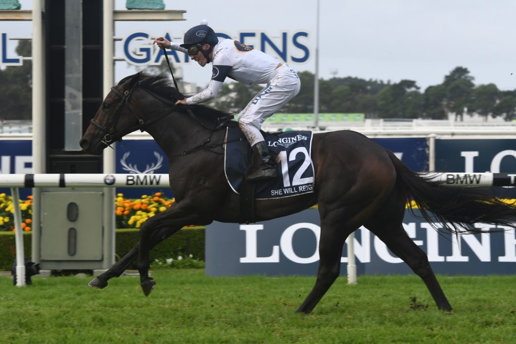 She Will Reign 180317 3769 | Just Horse Racing