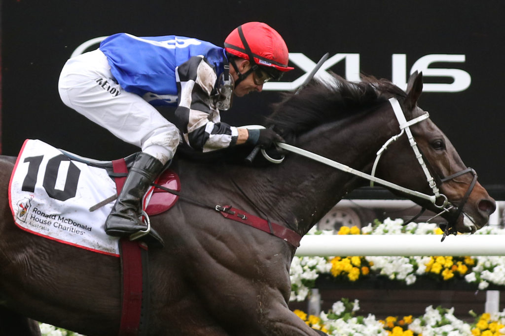 Shraaoh_06-11-2018_WIN_Flemington_4__595 | Just Horse Racing