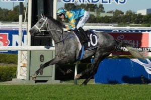 Silverball | Just Horse Racing Silverball