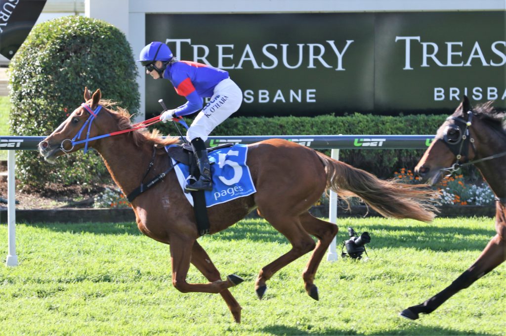 Single Gaze Kathy O'Hara_0044 (2) | Just Horse Racing