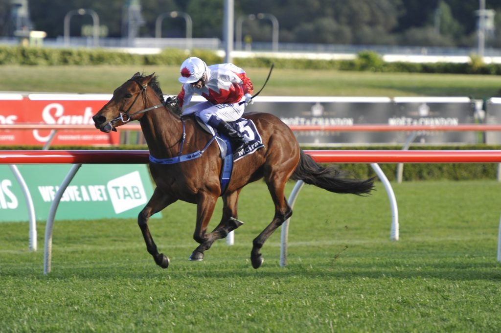 Sir John Hawkwood | Just Horse Racing Sir John Hawkwood