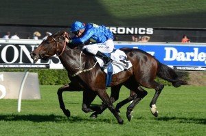 Skyerush 130413 2681 | Just Horse Racing