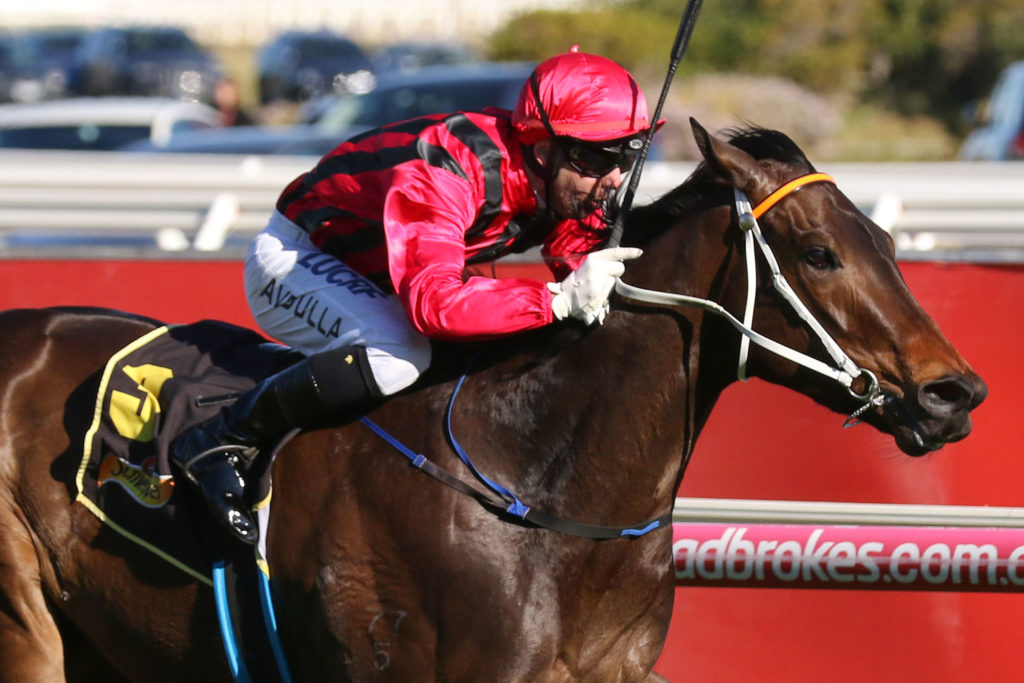 Smart Melody,Thousand Guineas Prelude,Group 2_30-09-2018_WIN_Caulfield_7__1154 | Just Horse Racing