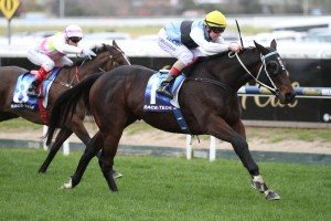Smokin' Joey, Bletchingly Stakes