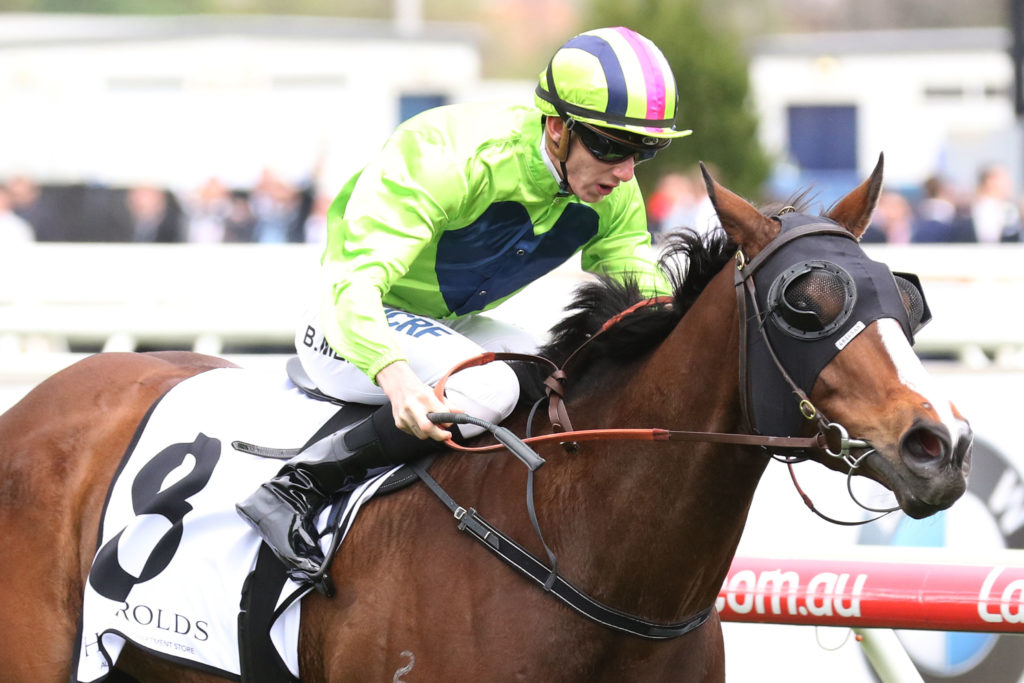 Snitty Kitty,Caulfield Sprint,Group 2_21-10-2017_WIN_Caulfield_7__1567 | Just Horse Racing