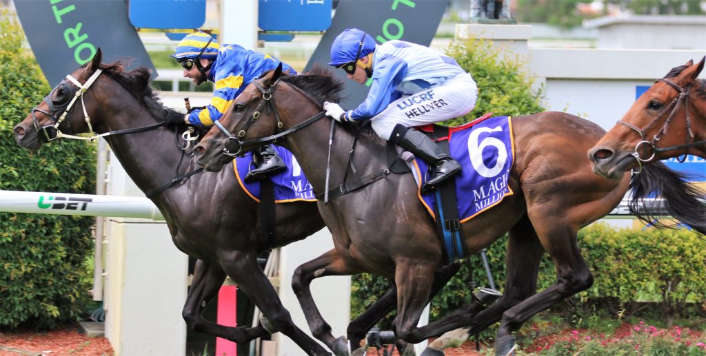 Sniztkraft (2) | Just Horse Racing