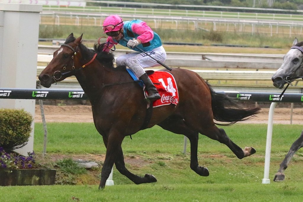 Sold For Song | Just Horse Racing Sold For Song