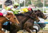 Solicit winning the Sportingbet Best Tote Plus 3YO F Plate at Race Track - photo by Race Horse Photos Australia