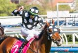 Solzhenitsyn winning the David Jones NBCF Toorak Handicap at Caulfield - photo by Race Horse Photos Australia