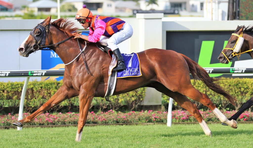 Someday (2) | Just Horse Racing