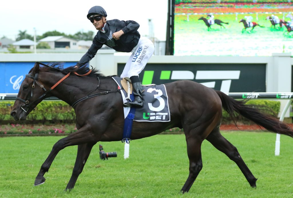 Son of A Brut (2) | Just Horse Racing