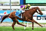 Sonntag winning the ALH Group Handicap at Caulfield ridden by Michael Rodd and trained by Henry Dwyer - (photo by Steven Dowden/Race Horse Photos Australia)