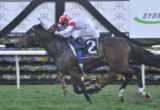 Southern Legend - Golden Rose day Tips