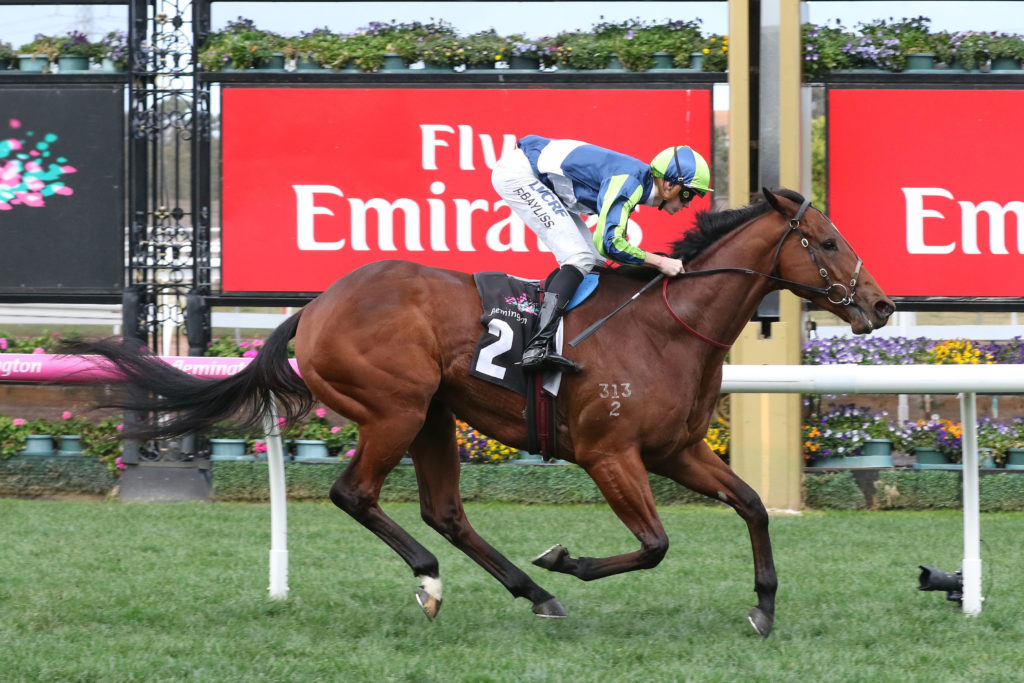 Sovereign Nation_12-08-2017_WIN_Flemington_3__537 | Just Horse Racing