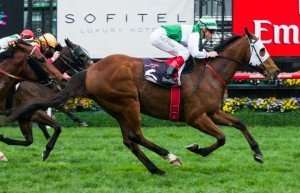 Speediness winning the Bobbie Lewis Quality at Flemington - photo by Race Horse Photos Australia