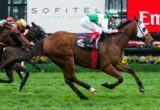 Speediness winning the Bobbie Lewis Quality at Flemington - photo by Race Horse Photos Australia