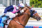 Spellrocker winning the Lisa Clarence Handicap at Caulfield ridden by Katelyn Mallyon and trained by Mathew Ellerton & Simon Zahra - (photo by Steven Dowden/Race Horse Photos Australia)