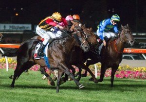 Spirit Of Boom-0693 | Just Horse Racing Spirit Of Boom - Photo by Sarah Ebbett